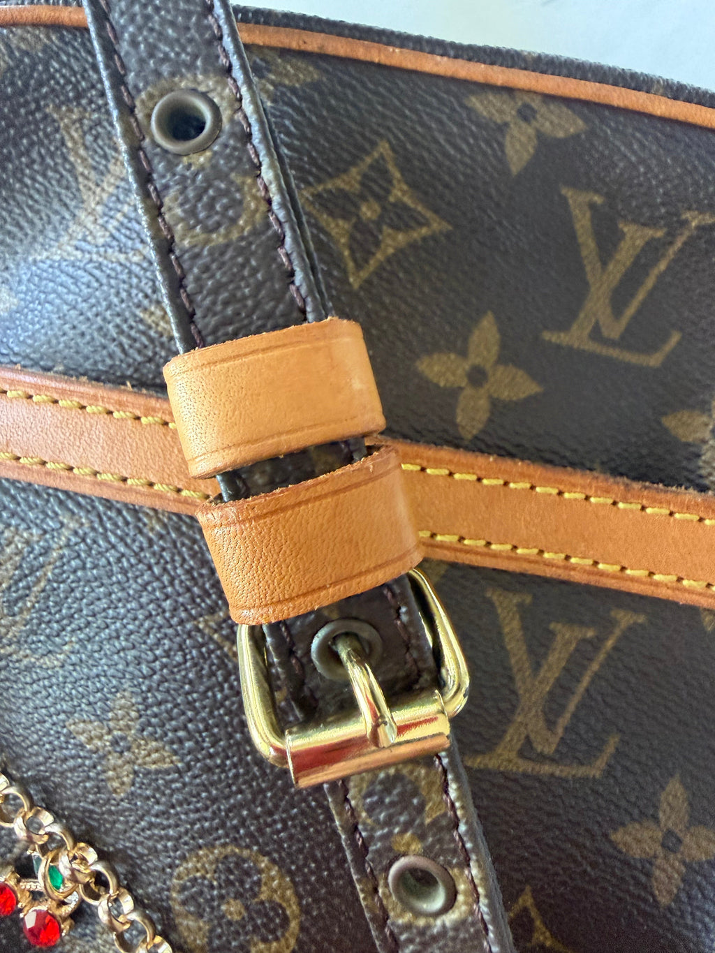 Preloved Louis Vuitton Danube
