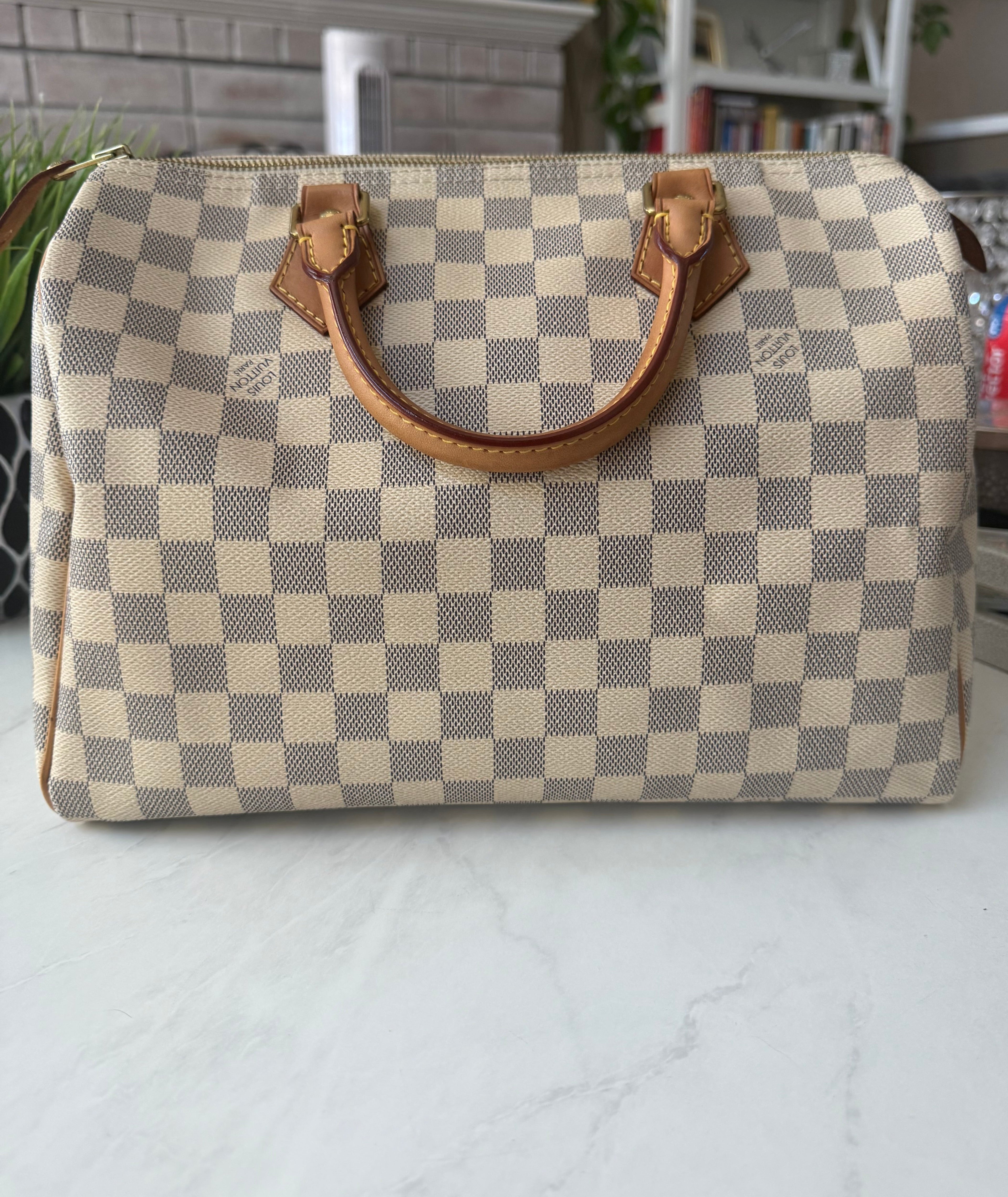 Louis Vuitton Speedy 30 Azur