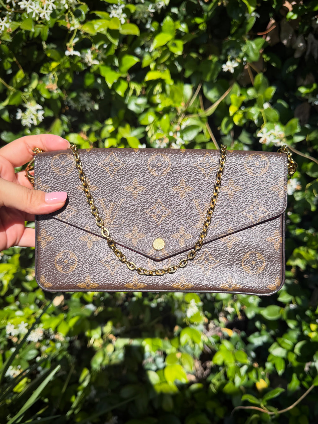 Louis Vuitton Monogram Felicie Pochette