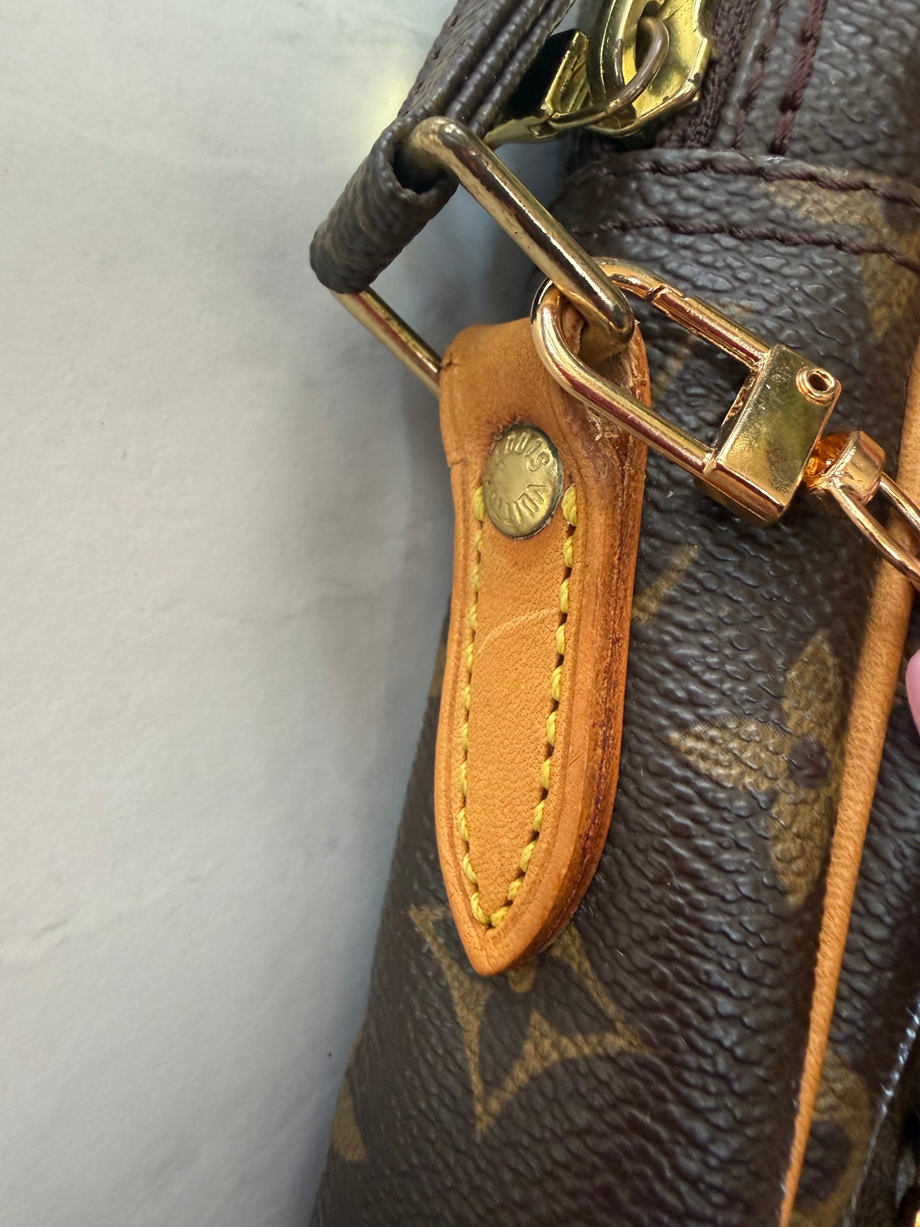 Preloved Louis Vuitton Danube