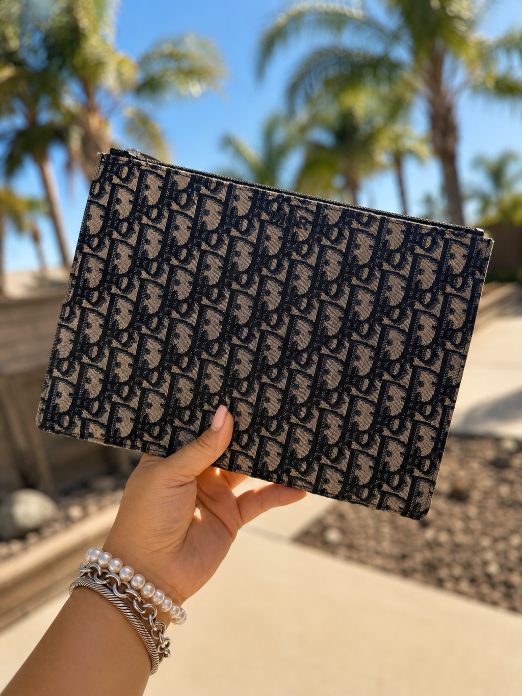 Dior Oblique Jacquard Canvas Clutch