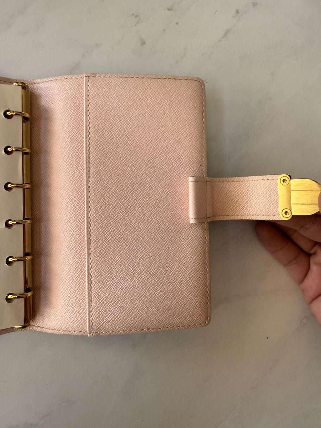 Louis Vuitton Koala PM Agenda